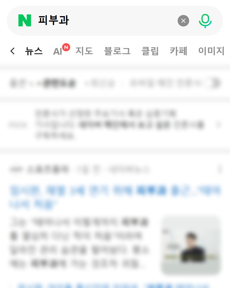 언론보도 예시 화면